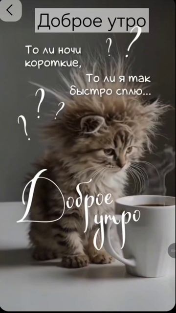 Доброе утро #рек #утро #юмор #лайк #яппи смотреть онлайн