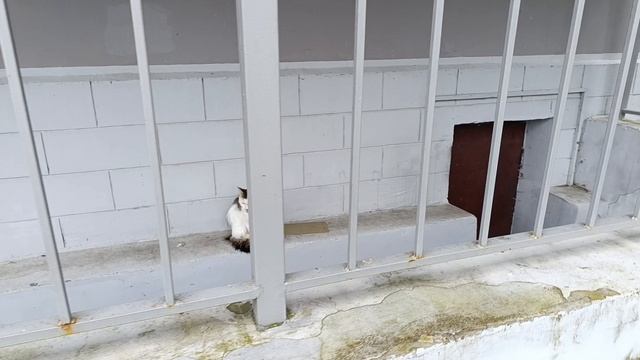 Поездка в город Остров смотреть онлайн