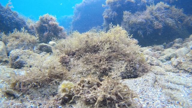 20250907091814_0005 смотреть онлайн