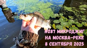 #287 Микроджиг Москва-река 8 сентября 2025