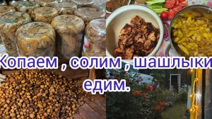 Копаем картошку,шашлыки жарим.