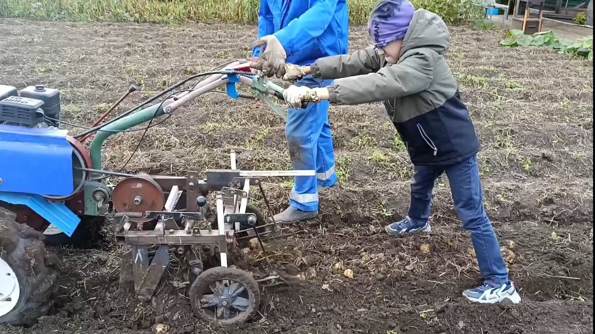 ДАВАЙ ПОМОГУ КАРТОШКУ 🥔 ВЫКОПАТЬ смотреть онлайн