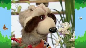 Утро в Шишкином Лесу. Зимний сад. Мята