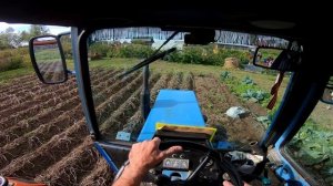 КАРТОФЕЛЕКОПАЛКА НА ТРАКТОРЕ ЛТЗ-55 / Т40 АМ! ВИДЕО 2021 года !