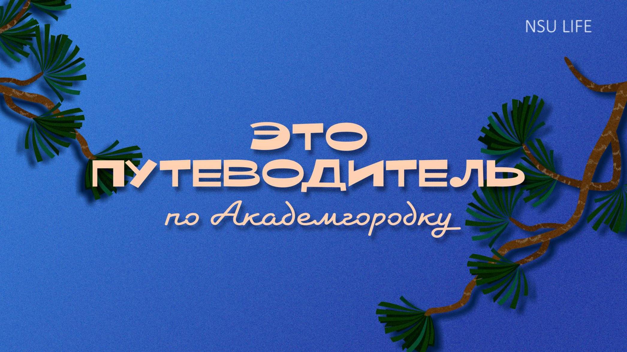 Путеводитель по Академгородку смотреть онлайн