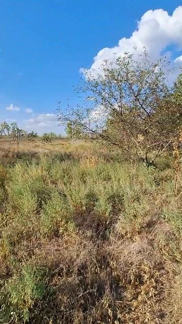 9735991 (2) смотреть онлайн