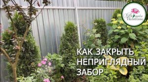 КАК ПРИКРЫТЬ НЕПРИГЛЯДНЫЕ ЗАБОРЫ