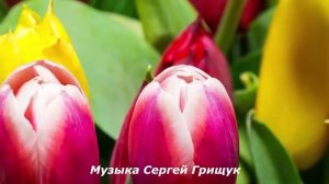 Музыка Для Души ,,ЧТО БЫЛО ОДНАЖДЫ ,,Музыка Сергей Грищук