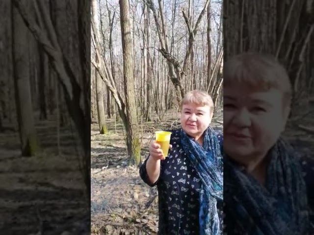 вербное Воскресение 23год аррель смотреть онлайн