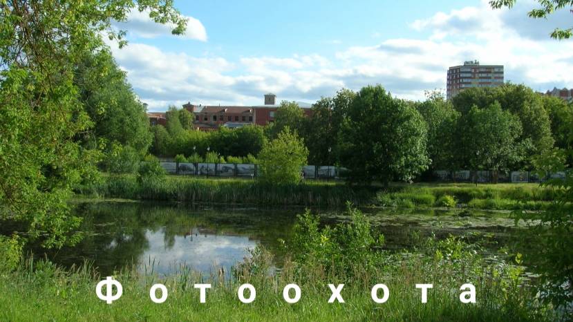 Фотоохота на реке в городе