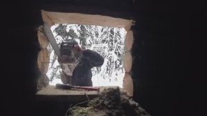 МЕДВЕДЬ ПРËТ НА ИЗБУ, Я ЗА НИМ. ВСТАВИЛ ДВА ОКНА В ЗИМОВЬЕ.