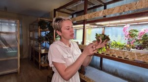 КОЛЕУС.КАК Я БУДУ ЧЕРЕНКОВАТЬ КОЛЕУСЫ.