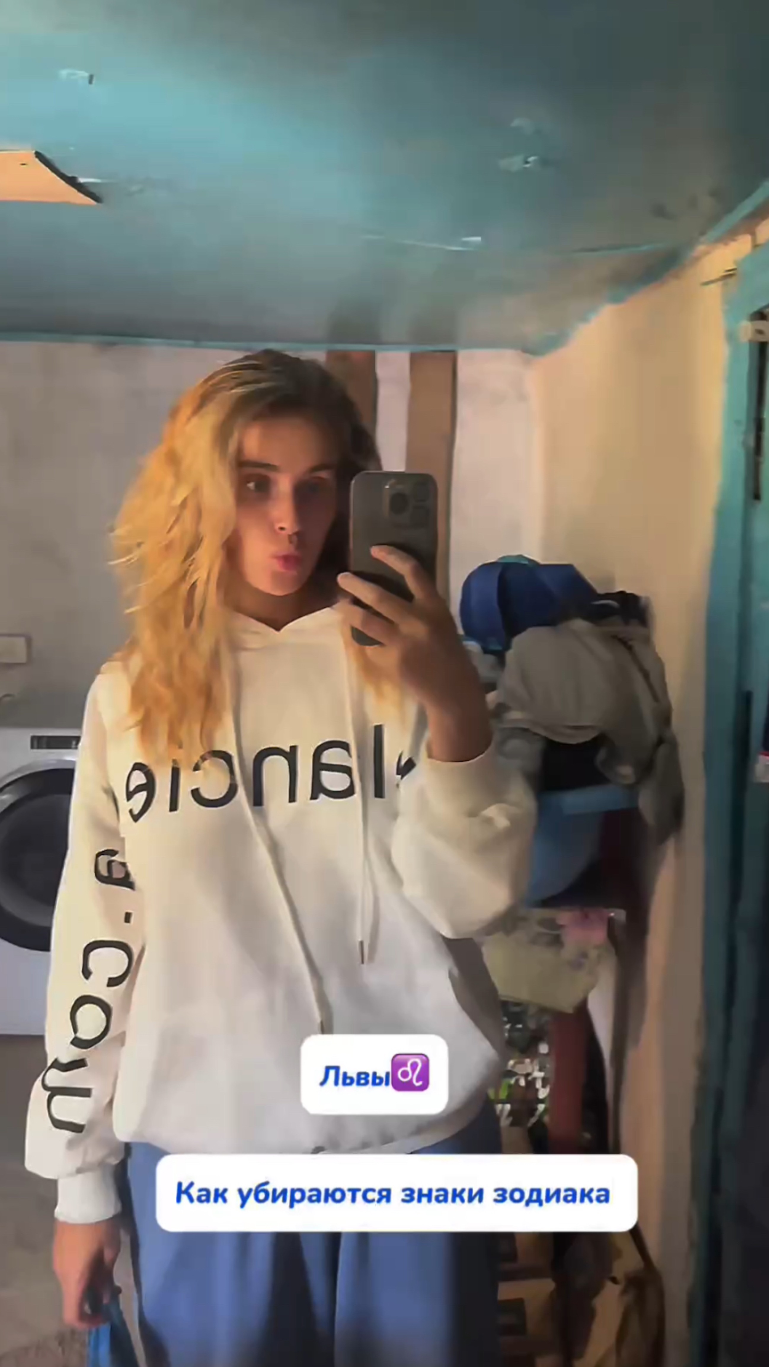 WB #269153142 Ozon #1740810271 Кто вы по знаку зодиак?