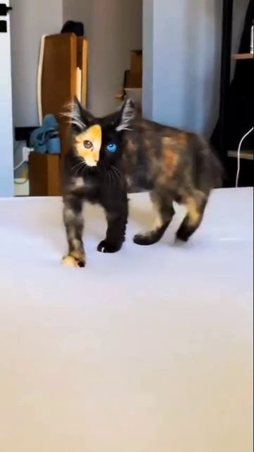 Новая рабочая неделя