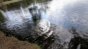 Ловля щуки на воблеры