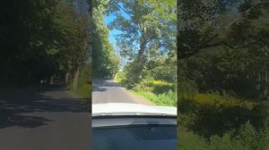 1,3 Гектара воле п Кострово