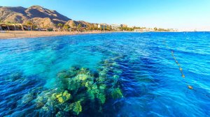 сборы на море