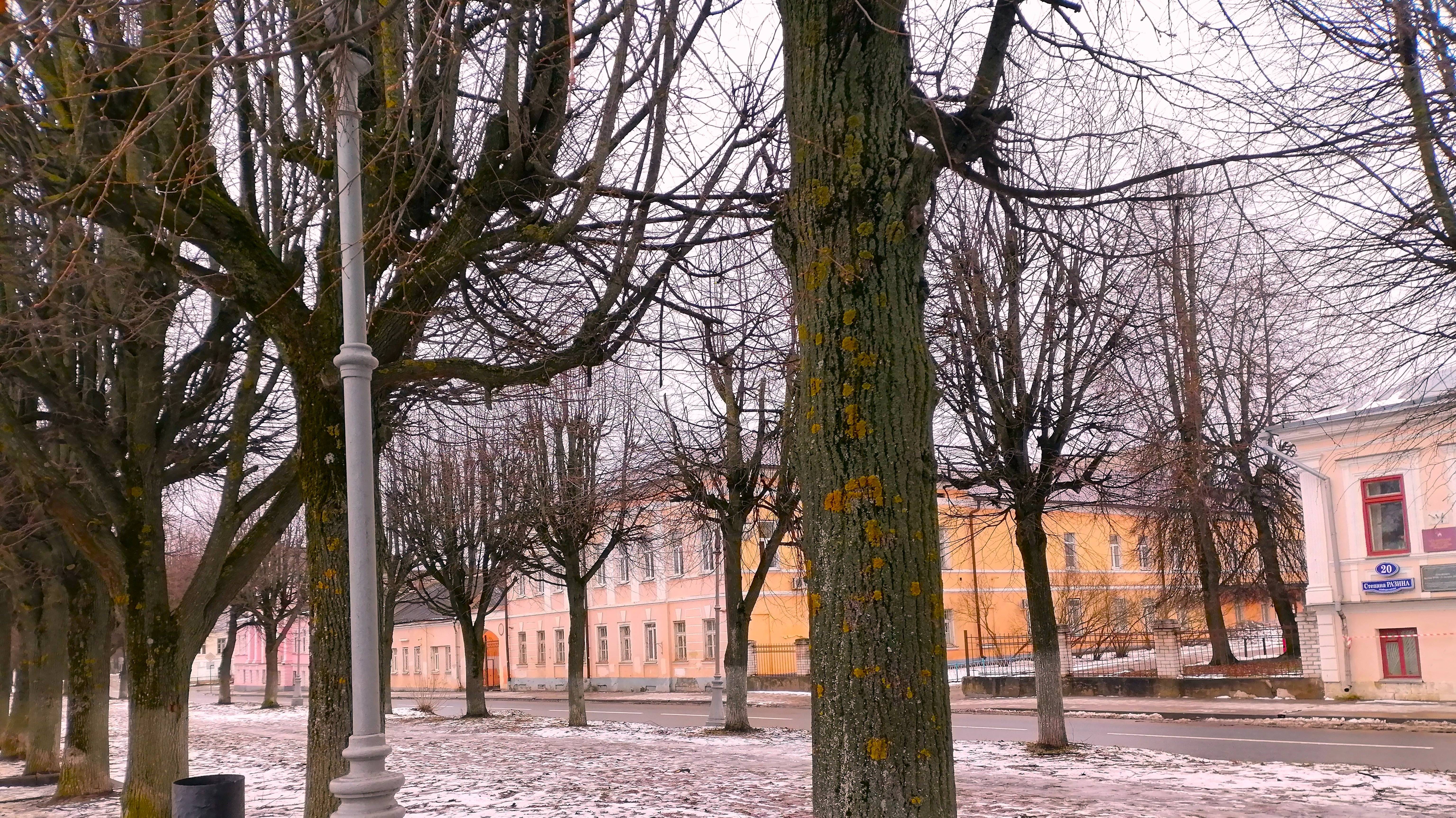 По Петербургу в Твери. Часть 2 смотреть онлайн
