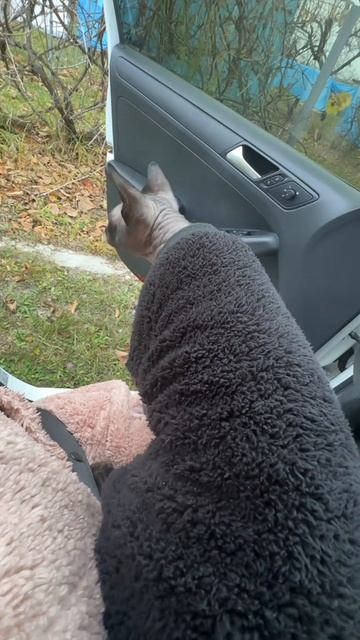 Закрытие дачного сезона, концовочка... 😁 смотреть онлайн