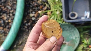 Золото реки Стеклянная