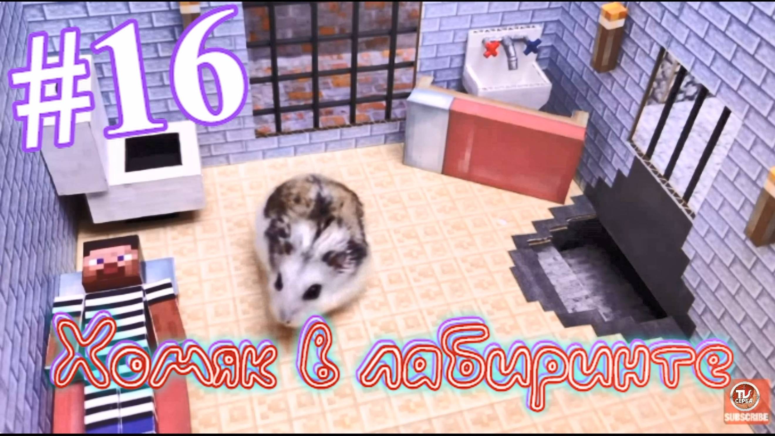 Хомяк в лабиринте (16 серия) смотреть онлайн