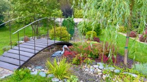 Осенние пересадлки. Гортензии и др.