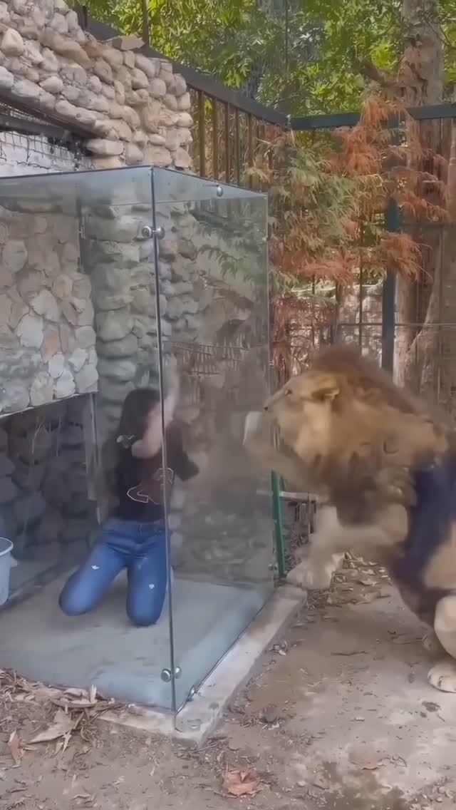 LEON смотреть онлайн