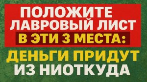Куда положить лавровый лист: 3 точки, которые привлекут деньги и изменят вашу жизнь уже через дни