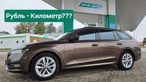 РУБЛЬ ЗА КИЛОМЕТР!!! Очень экономичная Skoda Octavia A8 G-TEC! От 100 до 200 рублей за 100 км. пути!