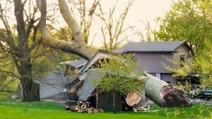 #112 Я РЖАЛ ДО СЛЕЗ 😂 ПОДНИМИ СЕБЕ НАСТРОЕНИЕ😆😆😆ЛУЧШИЕ ЛЮТЫЕ ПРИКОЛЫ / АКАДЕМИЯ ЮМОРА