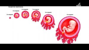 Реальные звёздные войны