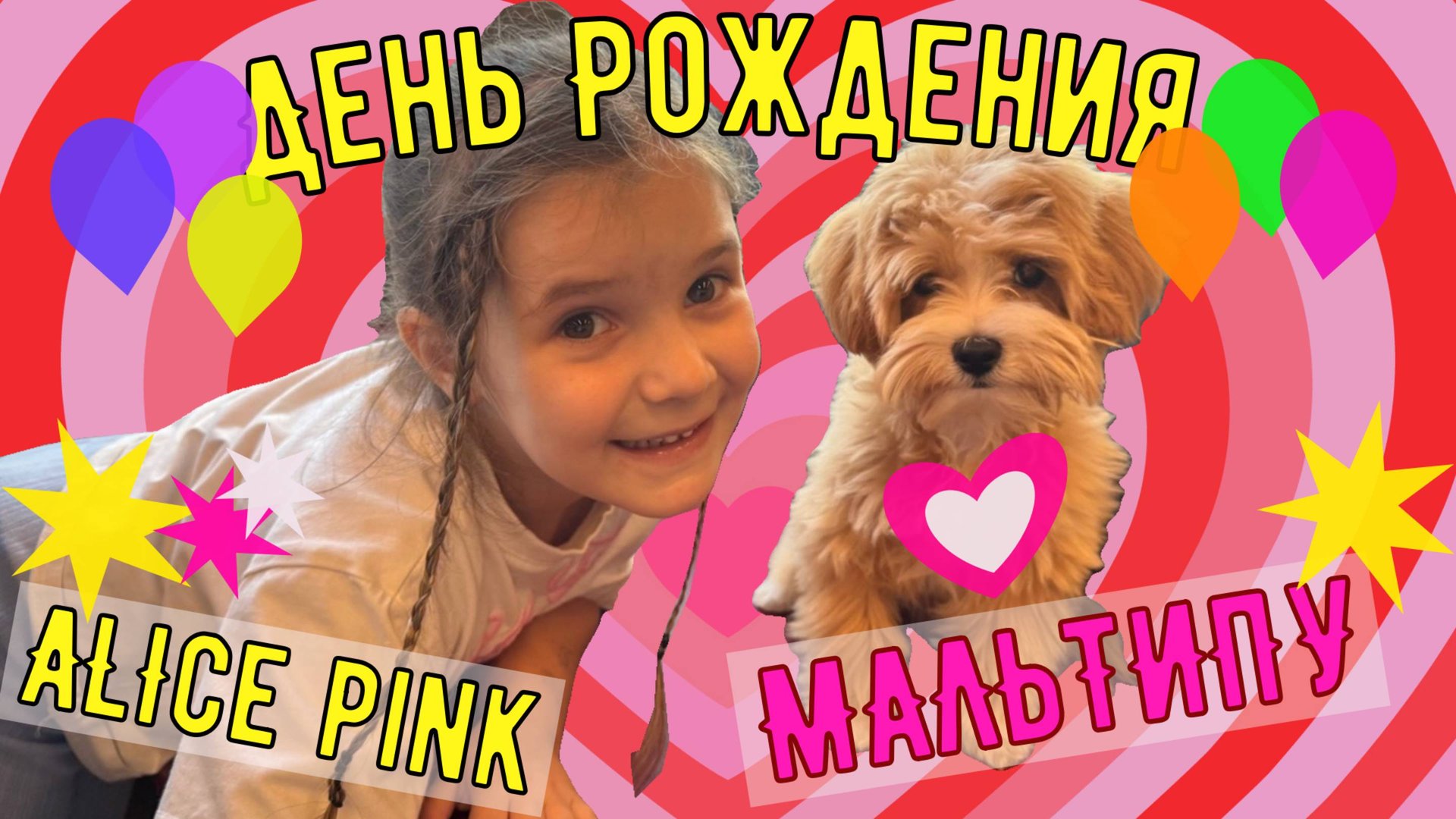 День Рождения Алисы Пинк. МАЛЬТИПУ. ЧАСТЬ 1
