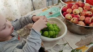 СНОВА ЗАГОТОВКИ ОБЛЕПИХА, ЯБЛОКИ.