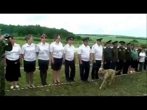 4-е Международных казачьи игры.Нижегородская обл. и концерт от Фонда "Спас Нерукотворный" смотреть онлайн