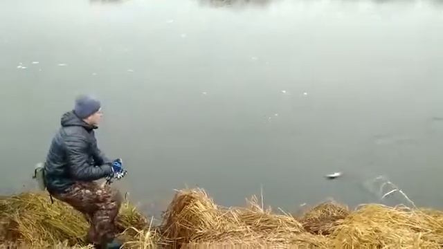 Спиннинг Crazy fish freedom forse , рыбалка на Реке Осень смотреть онлайн