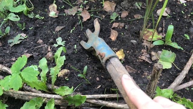 Попытка спасти пузыреплодник смотреть онлайн