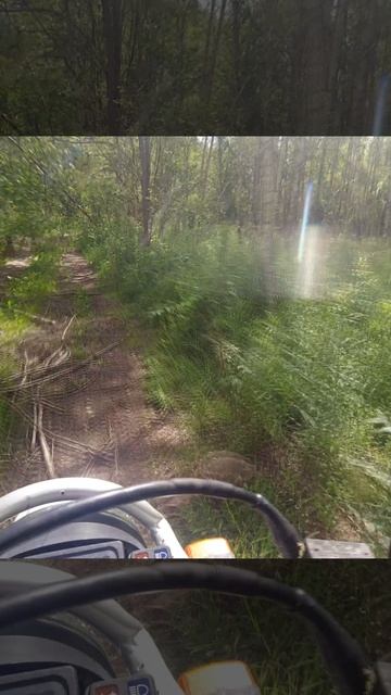 Yamaha TTR250 на оффроаде №217в смотреть онлайн