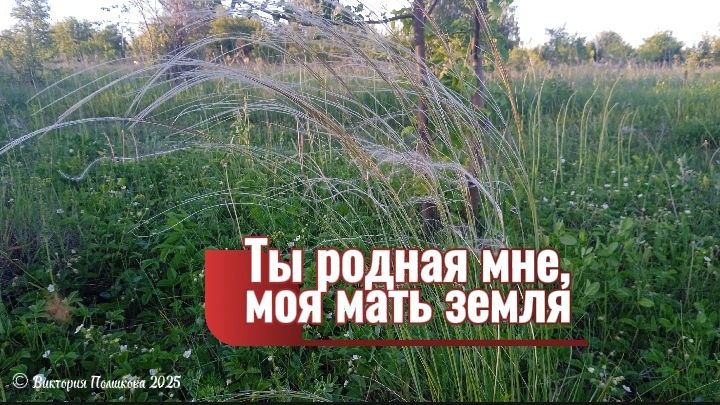 Ты родная мне, моя мать земля смотреть онлайн