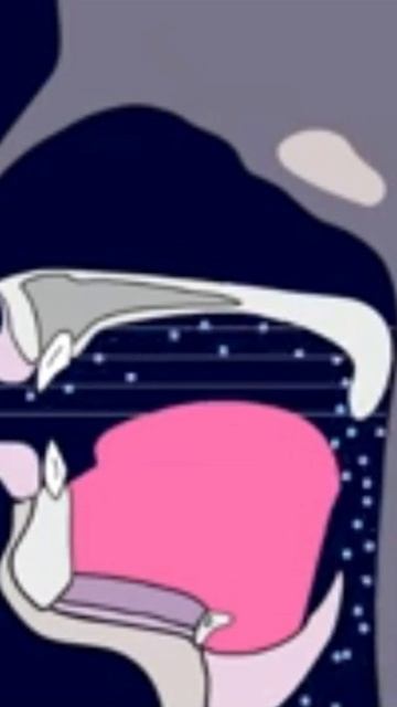 Секрет британского акцента:  раскроем все карты! 🕵️♂️