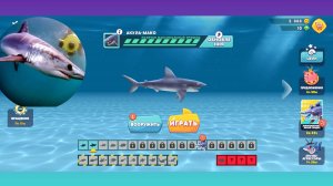 Hungry shark evolution новая акула.