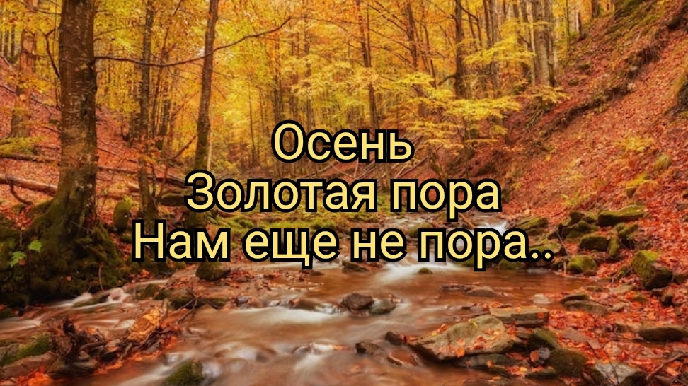 Осень. Золотая пора.. смотреть онлайн