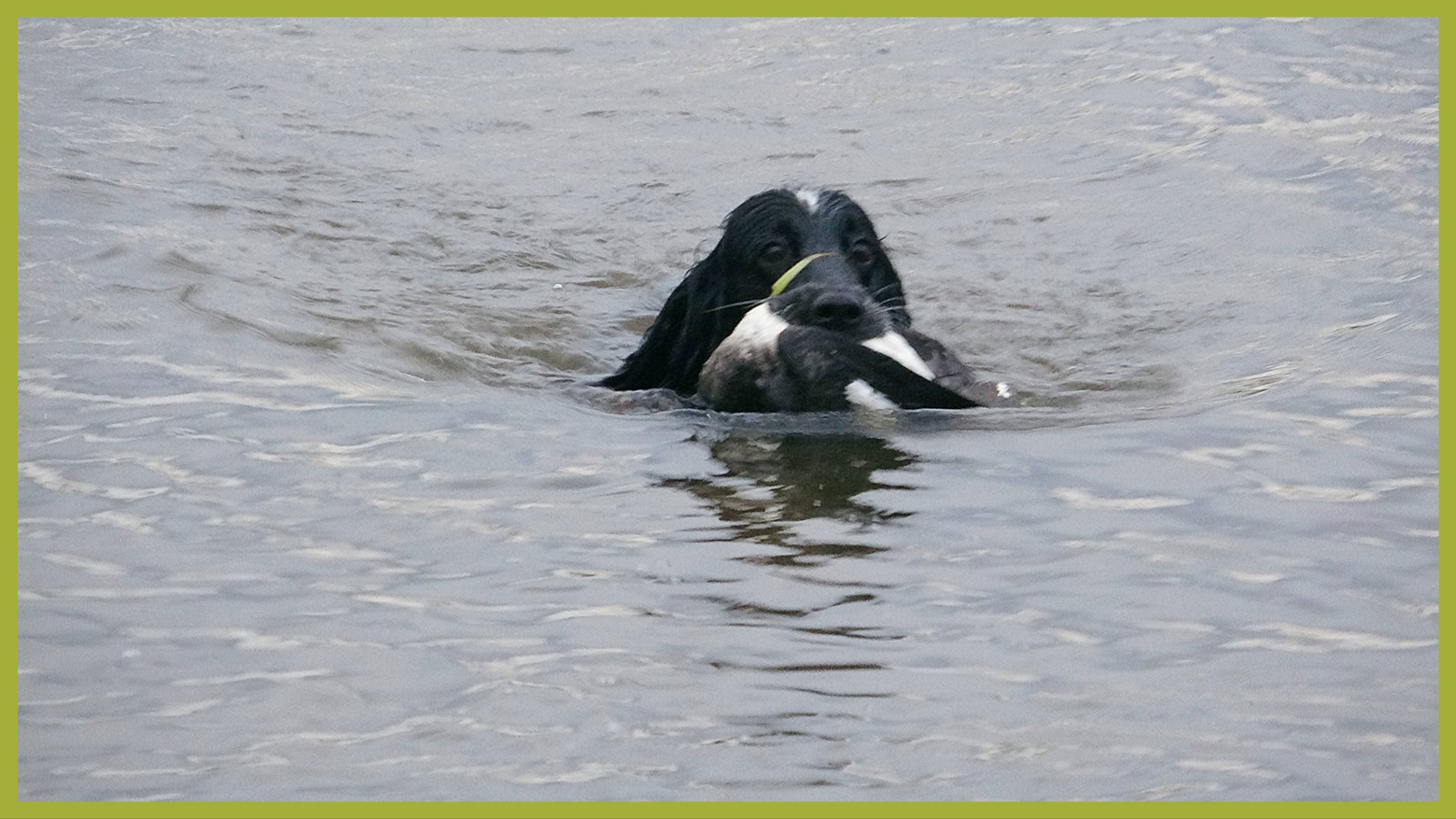 Прогулка с Джонни возле города. смотреть онлайн