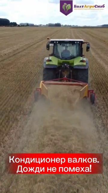 TEAGLE SUPER-TED смотреть онлайн