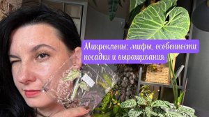 Микроклоны: мифы, особенности выращивания и адаптации
