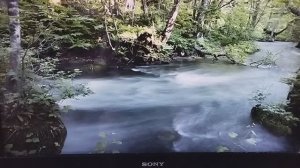 Ремонт телевизора SONY BRAVIА модель KLV-32BX300. Нет изображения, звук есть.