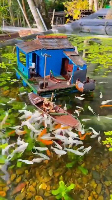 покорми рыбок