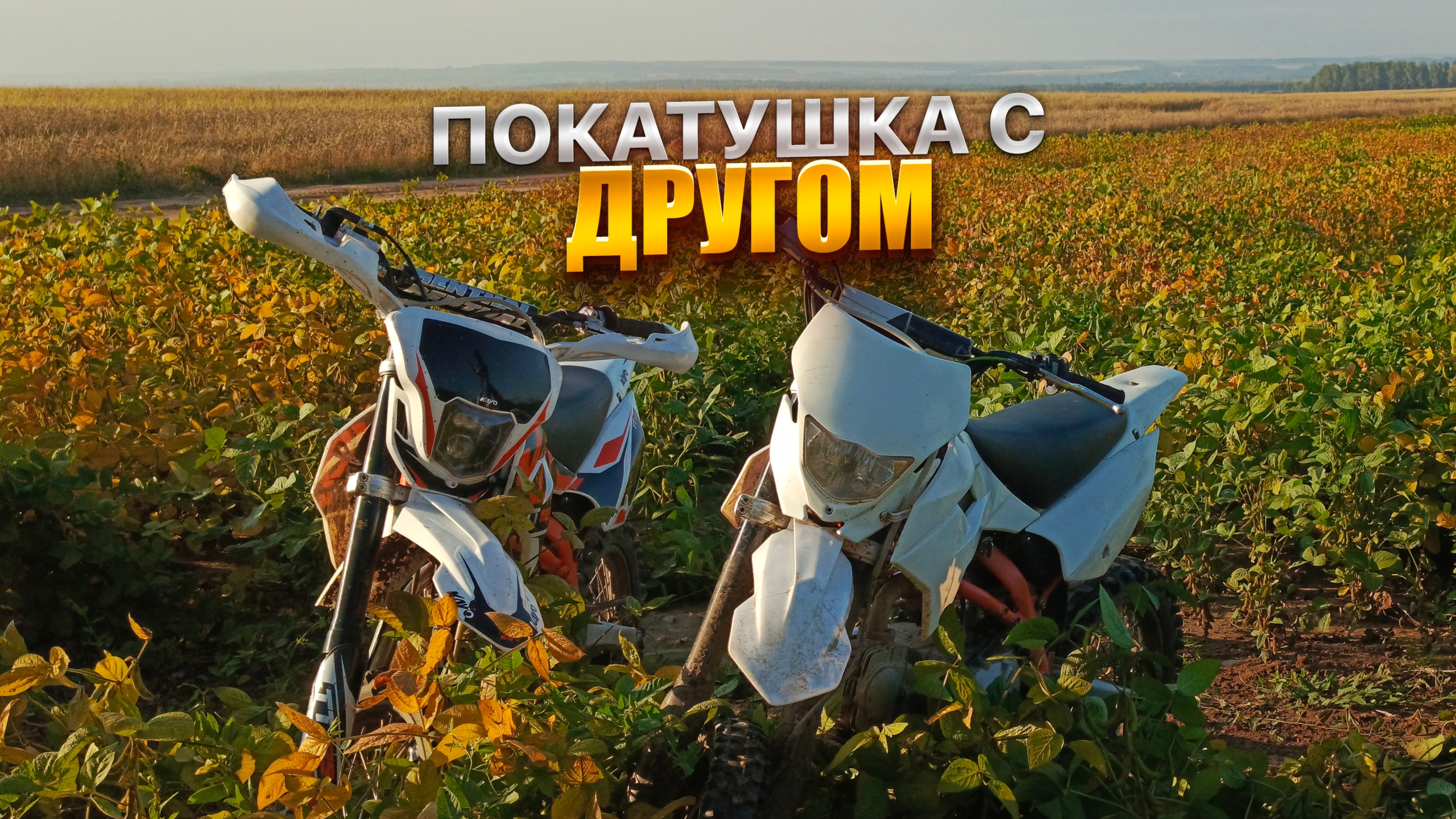 ПОКАТУШКА С ДРУГОМ НА KAYO смотреть онлайн