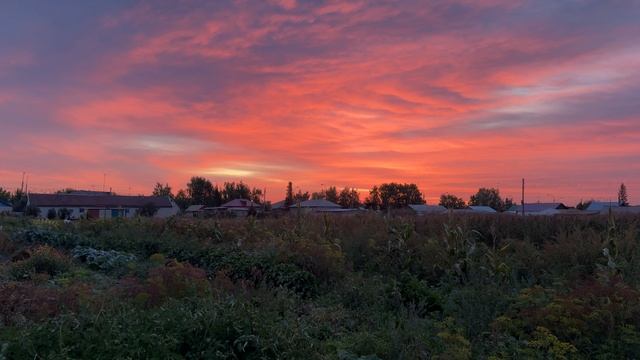 08.09.2025 - Сельское осеннее утро!!!!!❤️ смотреть онлайн