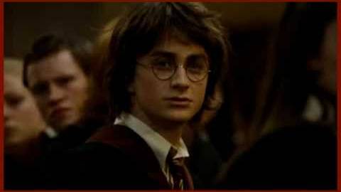 Какую ты хочешь любовь? (Лолита, Гарри Поттер) (NoMercy) смотреть онлайн