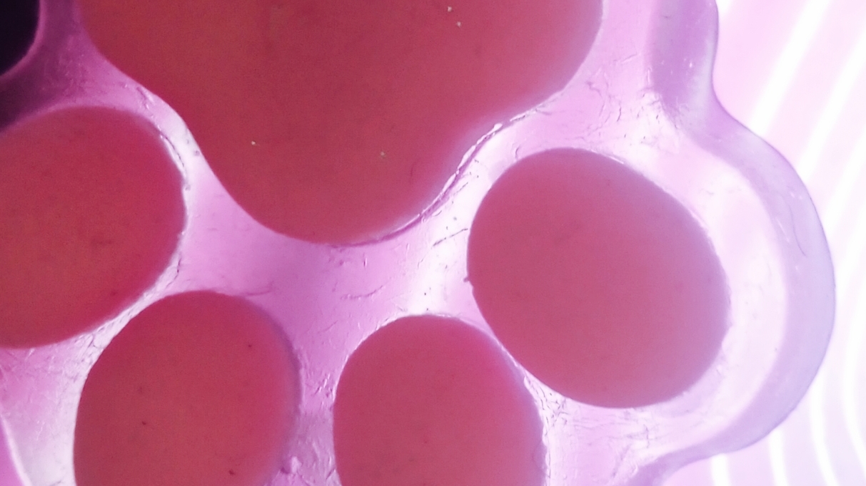 .!. Распаковка лапок.!. пишите в коменты что мне снимать смотреть онлайн